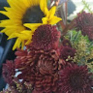 Meet your Posher, Evelyn